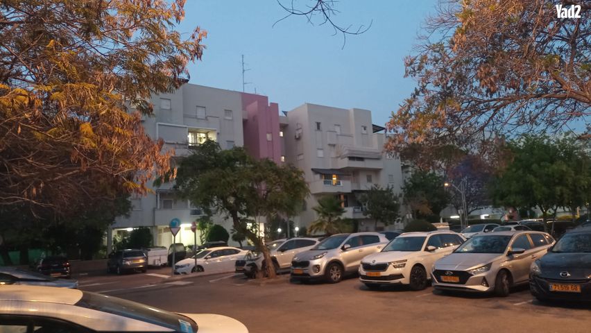 דליה 12