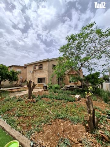 הברושים 15