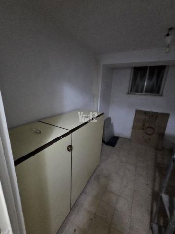 מקור חיים 48