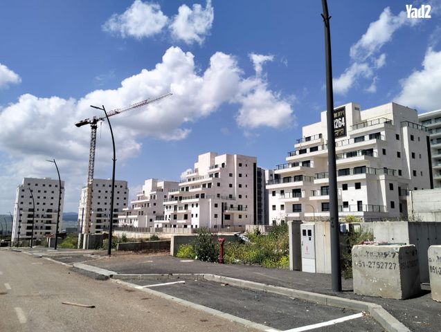 לוי אשכול 10
