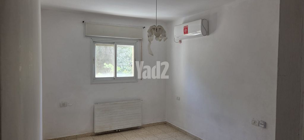 קדיש לוז 24