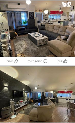 זית 253
