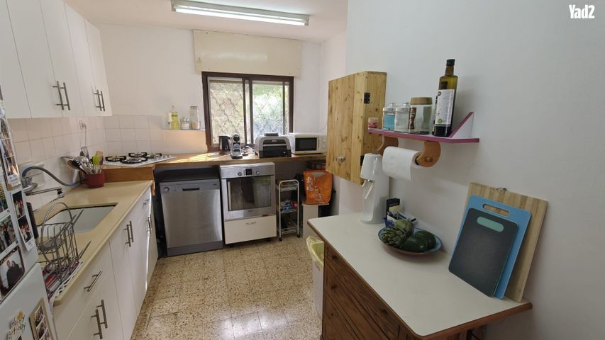 חבצלת 18