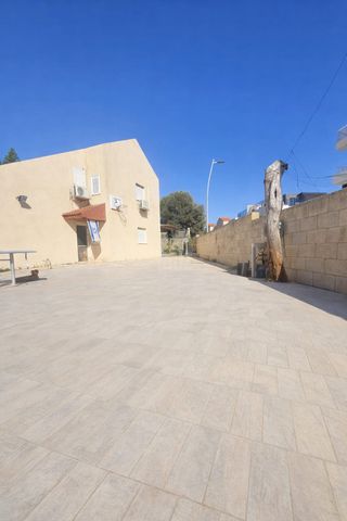 אורות