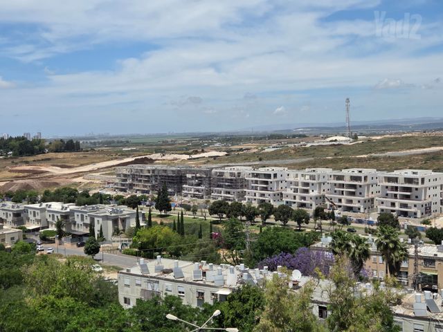 בן עמי 