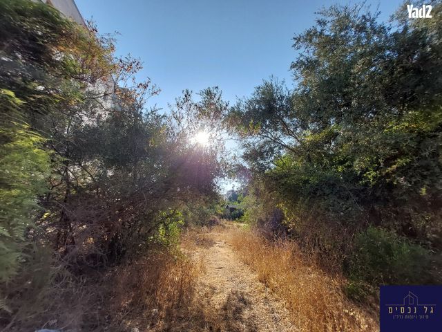 מגרשים
