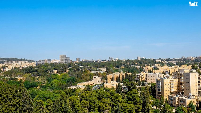 הפלמ"ח 66