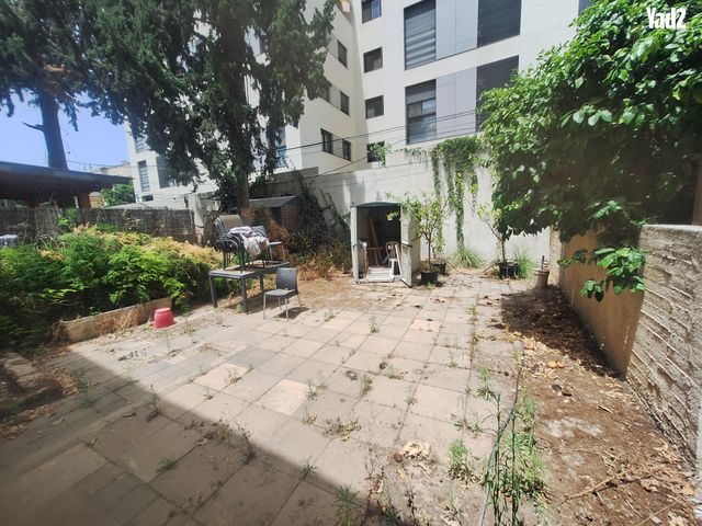 ניסן כהן 
