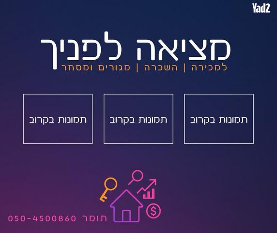 משה לוי 