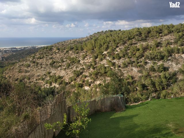 משה סורוקה 