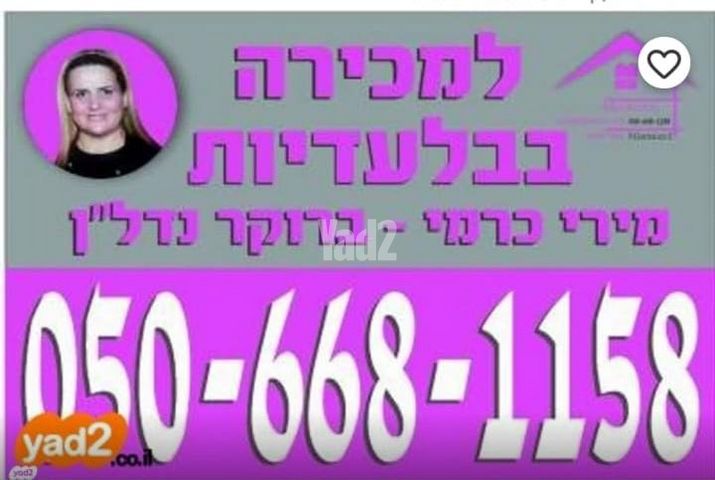 הדקל 