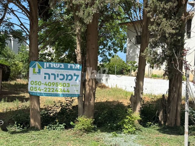 מגרשים