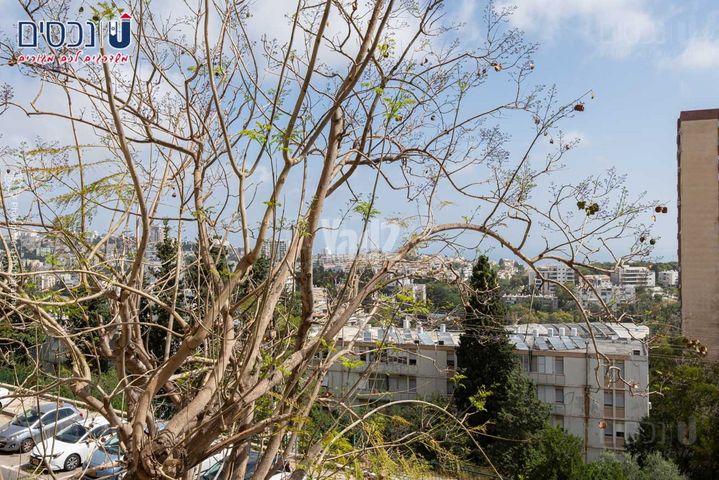 דירה