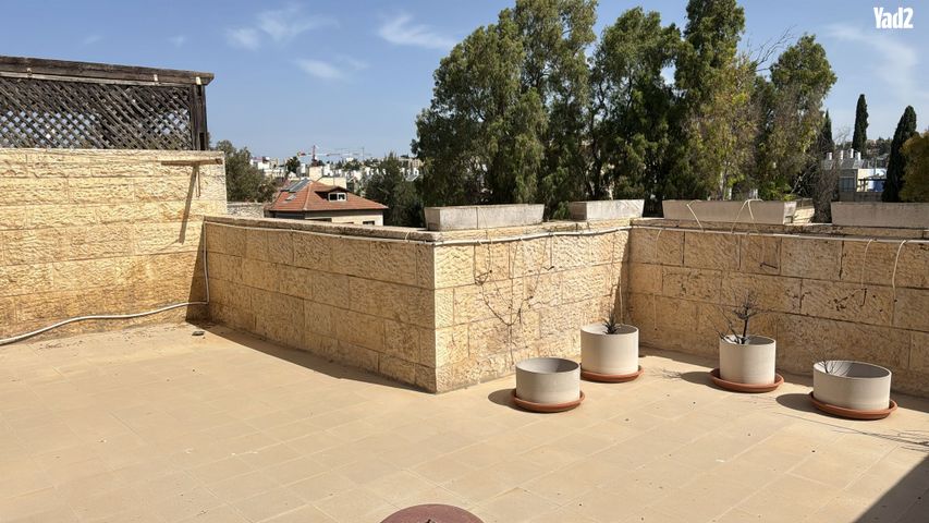 דן 