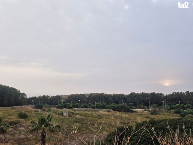 שמואל שניצר 