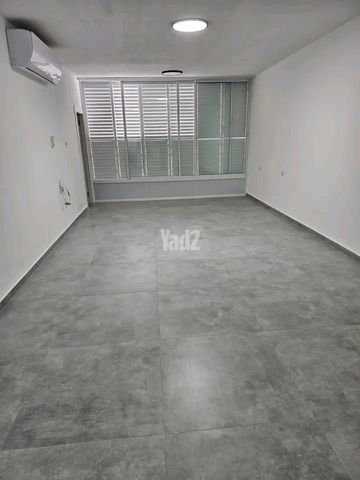 אריה שנקר 