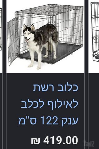 תמונת מודעה - חיות מחמד