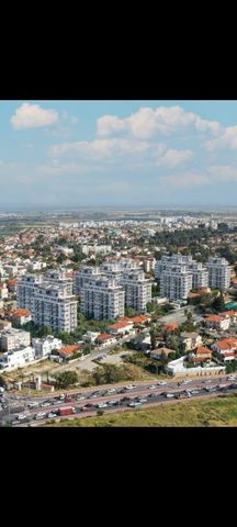 שפירא 16