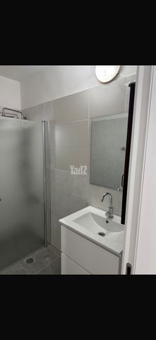 כוכב השחר 4