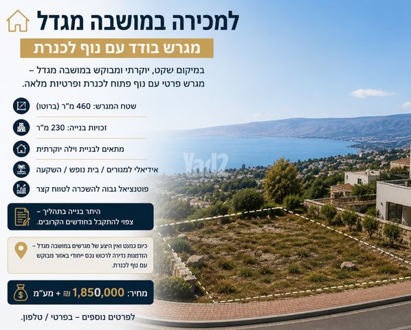 הברוש 1