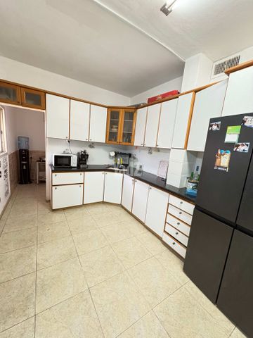 העצמאות 113
