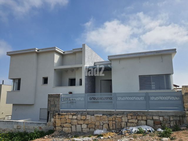 גפן 24
