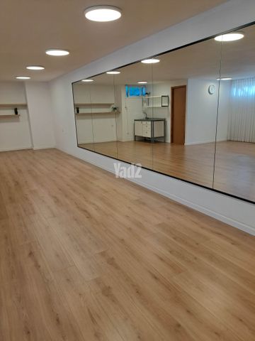 האלון 293