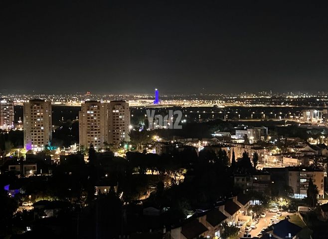 הכלנית 7