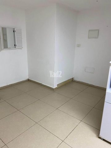 הפלמ"ח 43