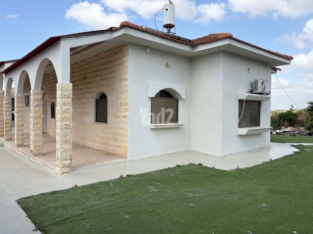הרימון 423