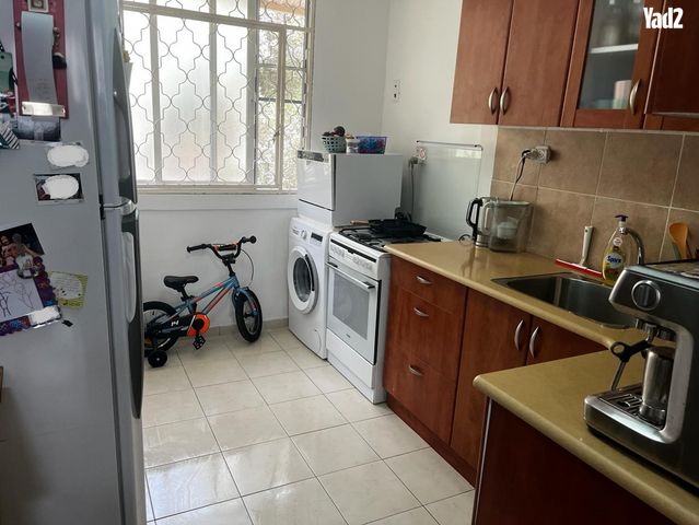 קיציס 24