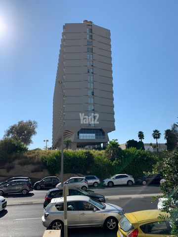 הירקון 206