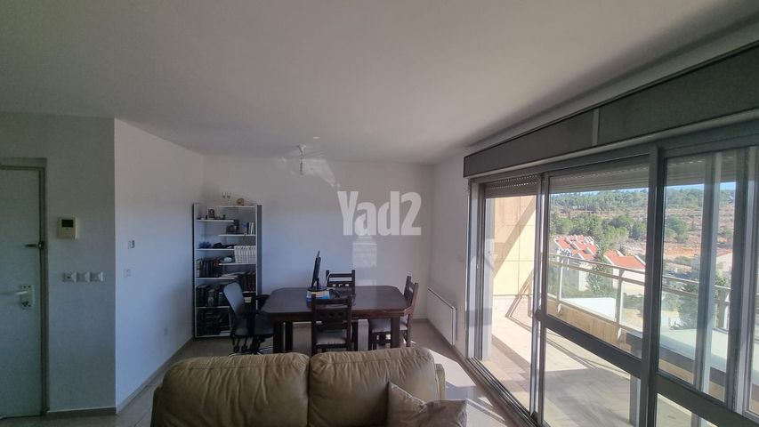 דקל 2