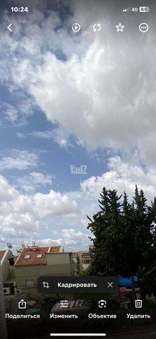הקישון 