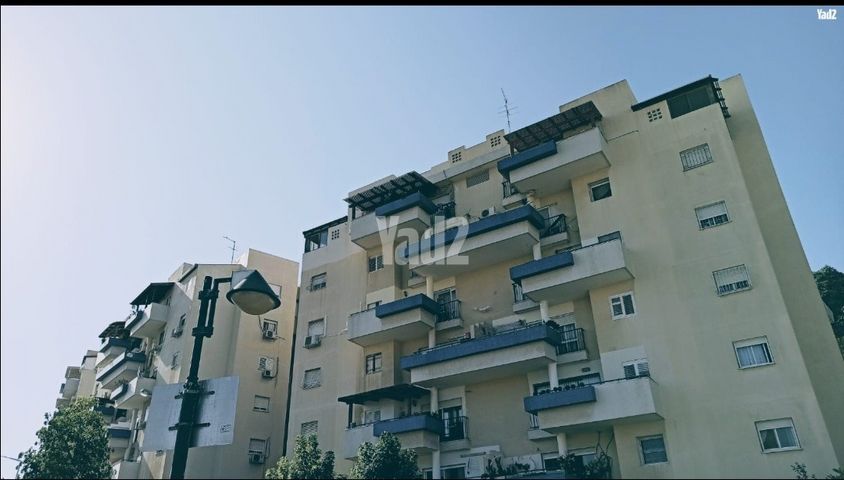 השזיף 