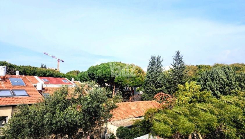 נווה אביבים