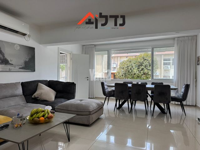 דן לנר 