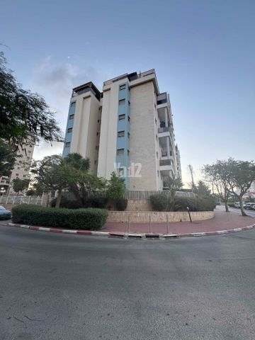 שלמה כהן 