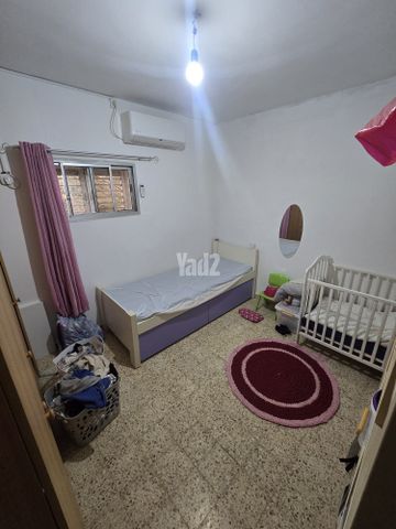 גאון הירדן 113