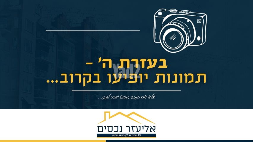פרנקל 