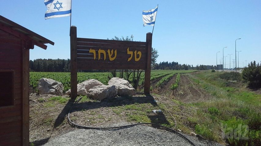 משק חקלאי/ נחלה למכירה בטל שחר (תיווך) — 2