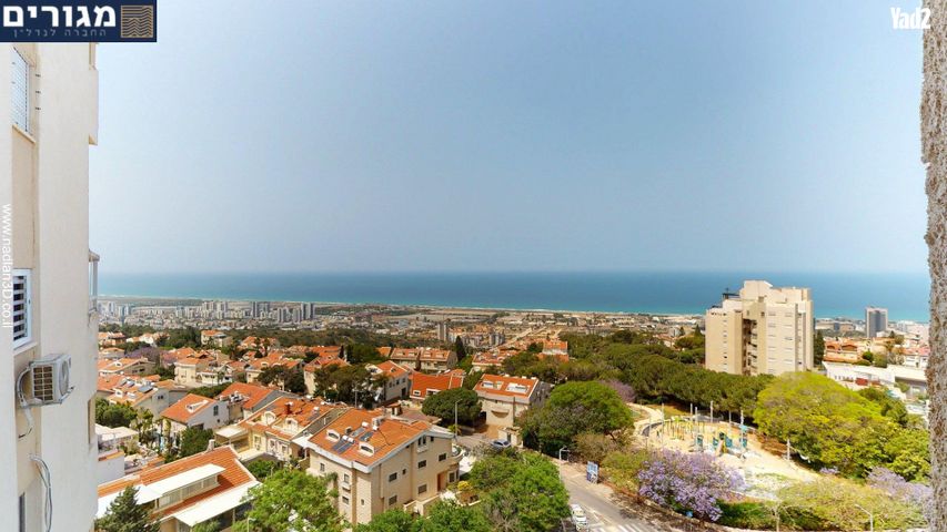 ראול ולנברג 