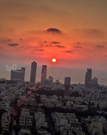 דירה להשכרה בתל אביב יפו (תיווך) — 4