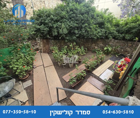מעלה הכרמים 