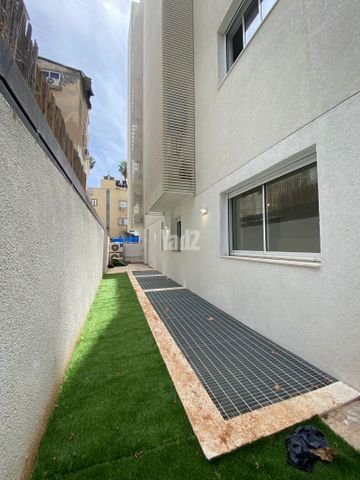 הקונגרס 29