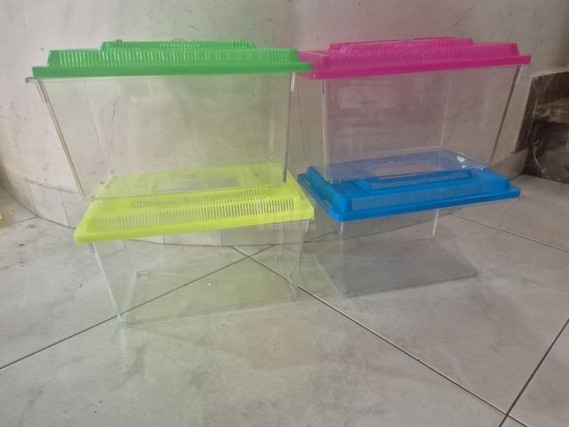 תמונת מודעה - חיות מחמד
