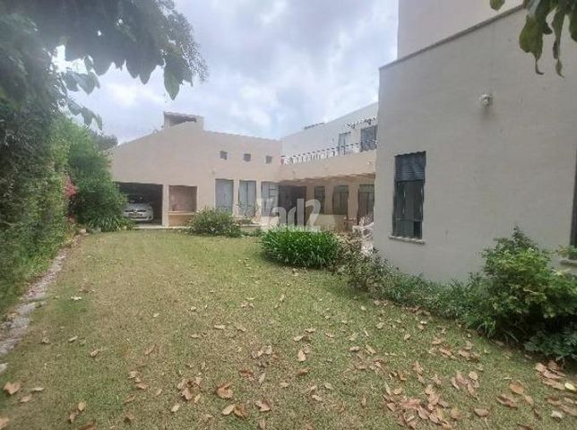 הזית 195