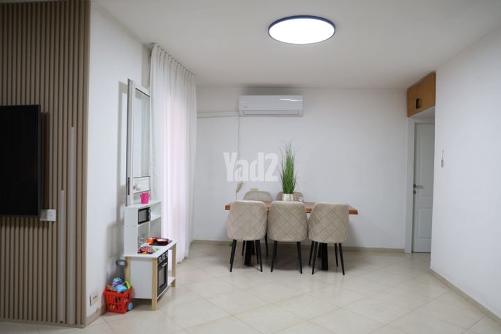 עין גדי 19