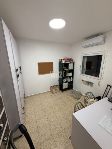 אלי כהן 37
