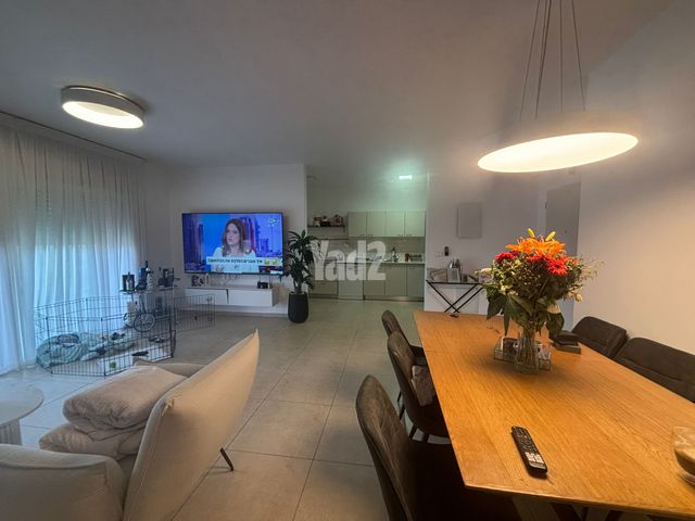 שחף 2